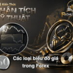 Các loại biểu đồ giá trong Forex