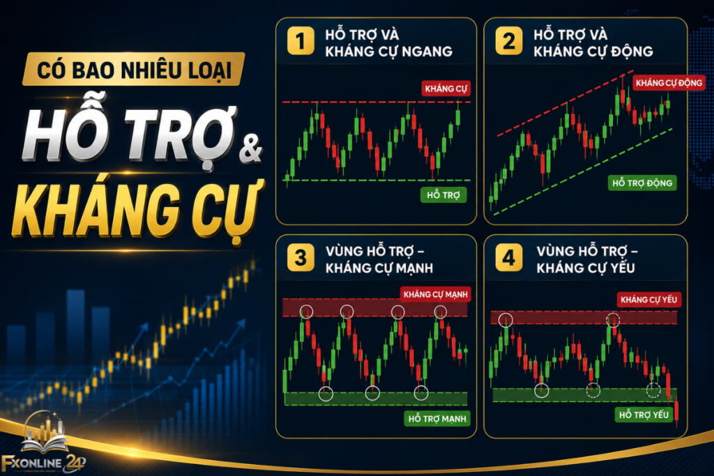Có bao nhiêu loại hỗ trợ và kháng cự