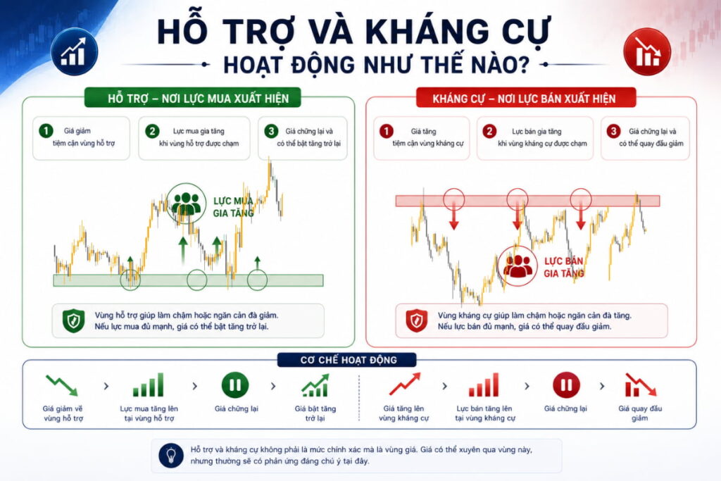 Hỗ trợ và kháng cự hoạt động như thế nào