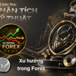 【62】Xu hướng trong Forex là gì?