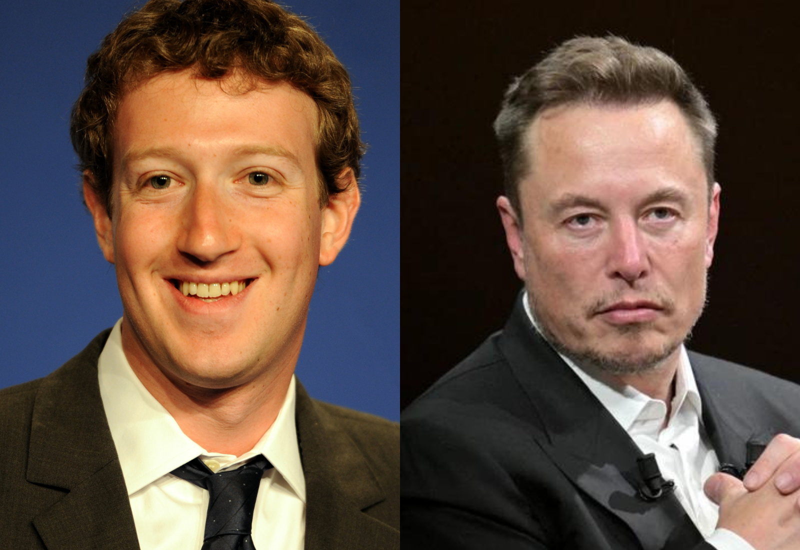nhà sáng lập Mark Zuckerberg và Ceo Elon Musk