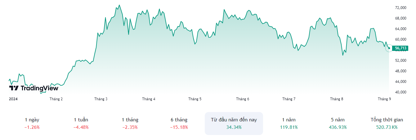 Biểu đồ Bitcoin trực tuyến từ đầu năm đến nay