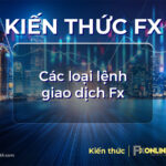 Các loại lệnh giao dịch Forex: Tổng hợp chi tiết và đầy đủ