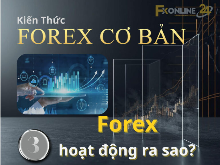 【03】Forex hoạt động ra sao?