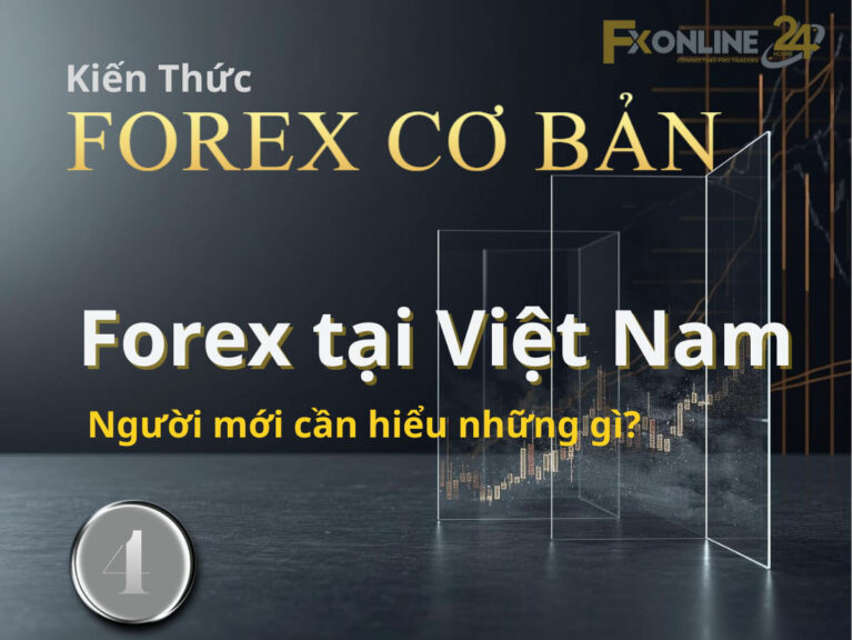 【04】Forex tại thị trường Việt Nam