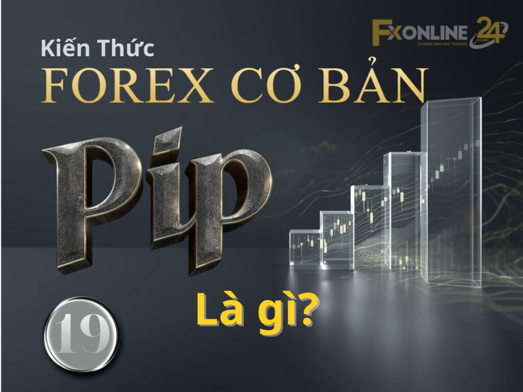 Pip là gì
