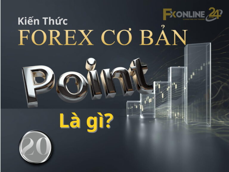 【20】Point là gì?