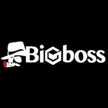 BigBoss Financial logo