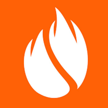 FirewoodFX logo