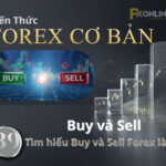 Buy và Sell Forex hoạt động thế nào? Hướng dẫn chi tiết nhất