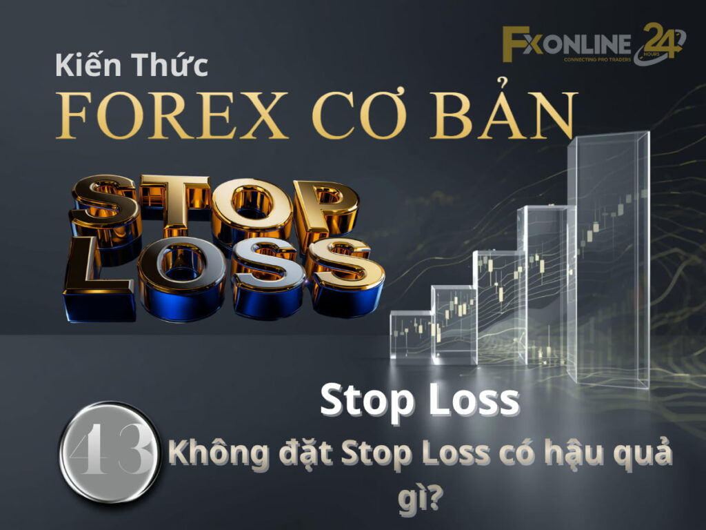 Không đặt Stop Loss có hậu quả gì?