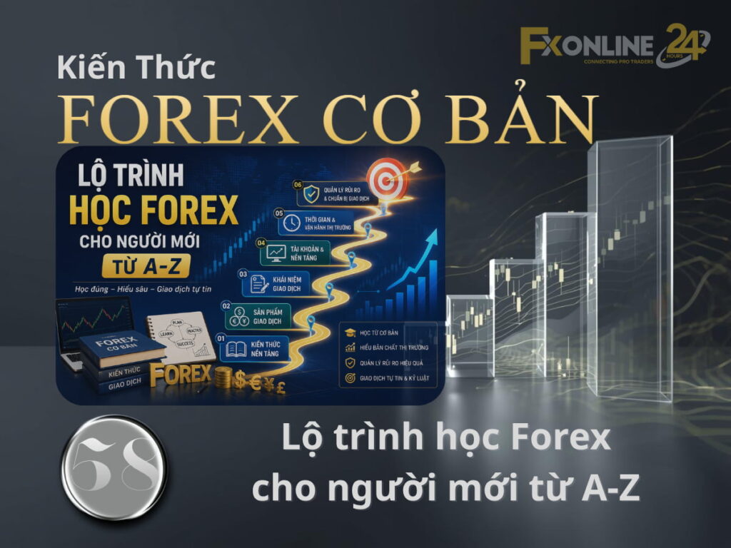 Lộ trình học Forex cho người mới