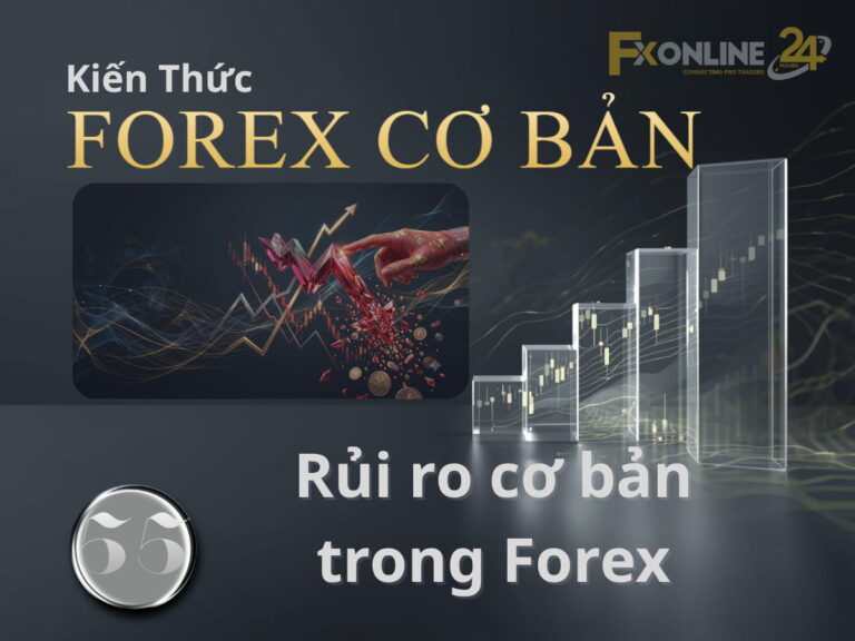 【55】Rủi ro cơ bản trong Forex