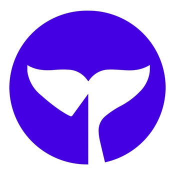 Dolphin Markets logo